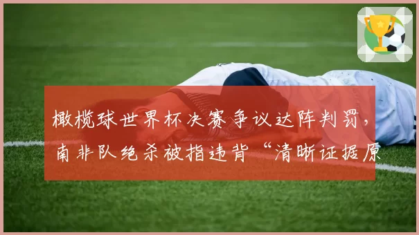 橄榄球世界杯决赛争议达阵判罚，南非队绝杀被指违背“清晰证据原则”