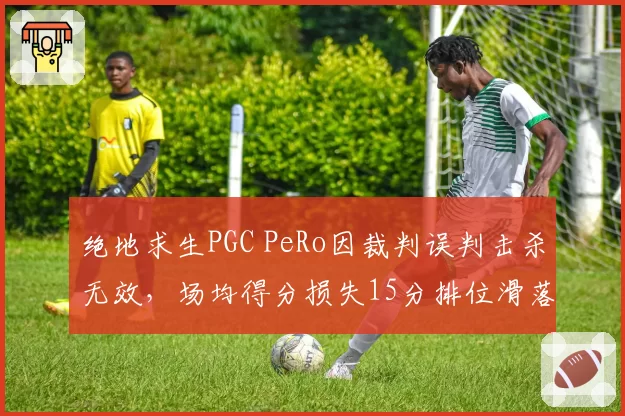 绝地求生PGC PeRo因裁判误判击杀无效，场均得分损失15分排位滑落