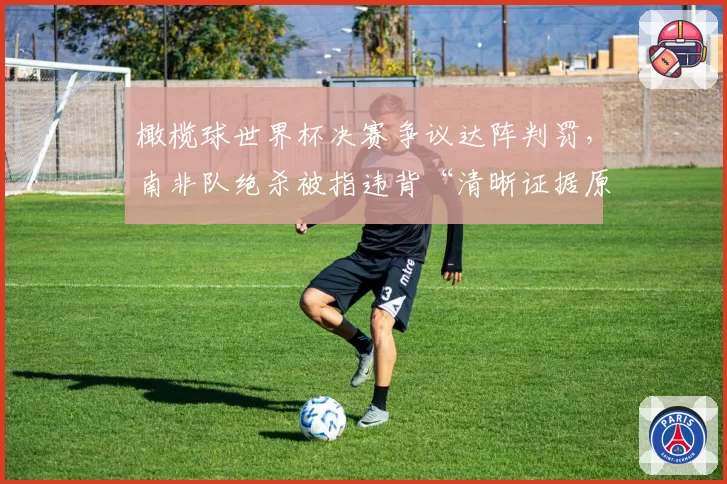 橄榄球世界杯决赛争议达阵判罚，南非队绝杀被指违背“清晰证据原则”
