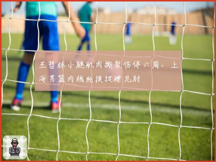 王哲林小腿肌肉撕裂伤停六周,上海男篮内线轮换捉襟见肘