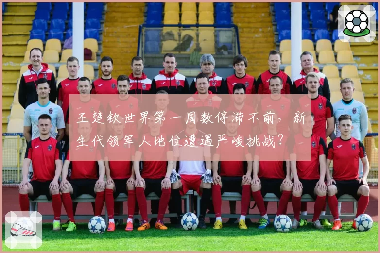 王楚钦世界第一周数停滞不前,新生代领军人地位遭遇严峻挑战?