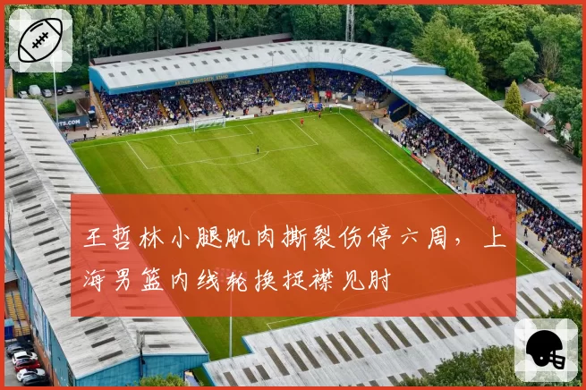 王哲林小腿肌肉撕裂伤停六周,上海男篮内线轮换捉襟见肘