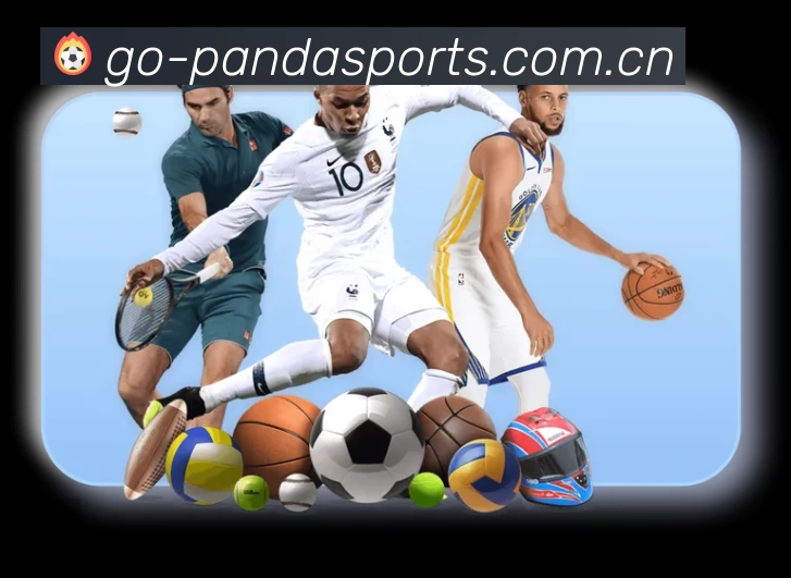 PANDA SPORTS 熊猫体育准确价值